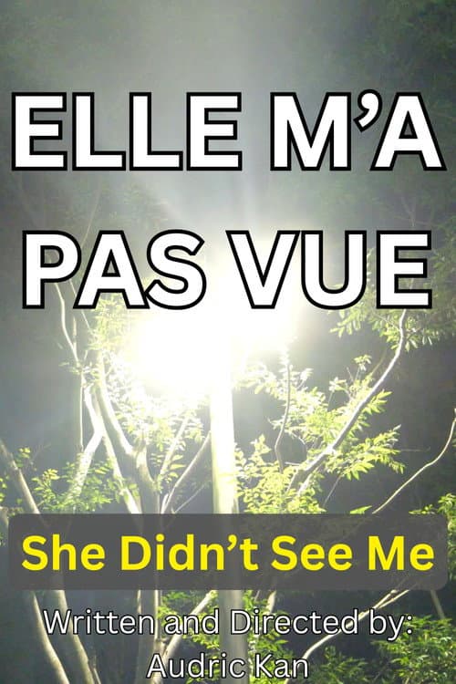 She Didn't See Me