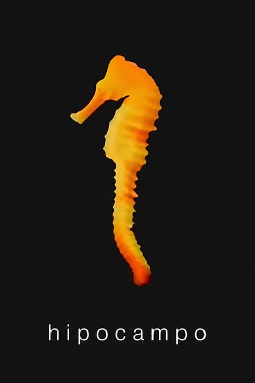 Hippocampus