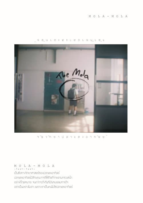 MOLA-MOLA