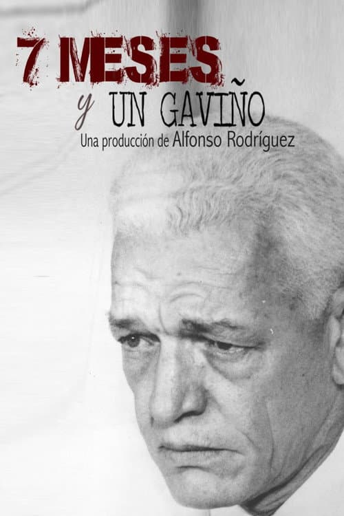 7 meses y un Gaviño